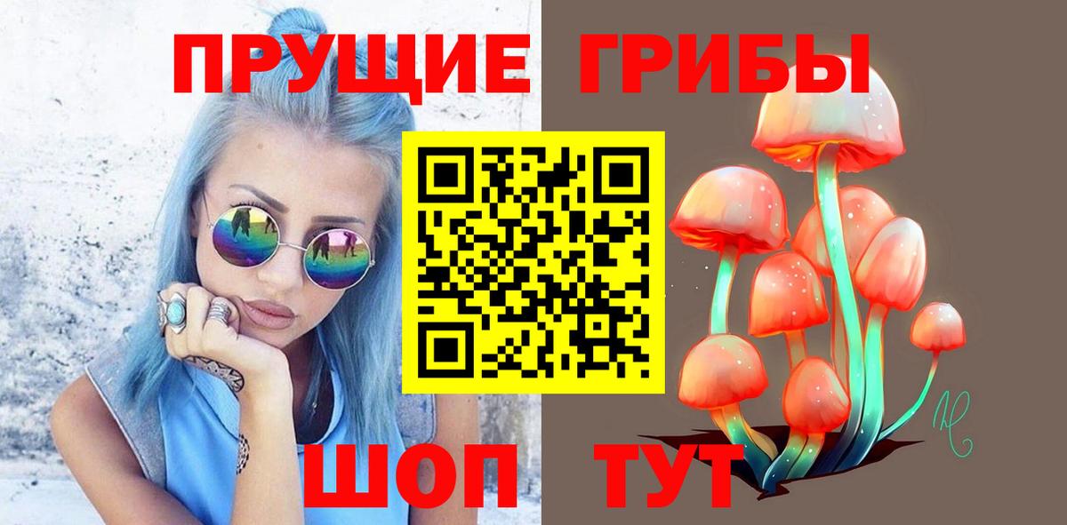 Псилоцибиновые грибы мицелий Ейск