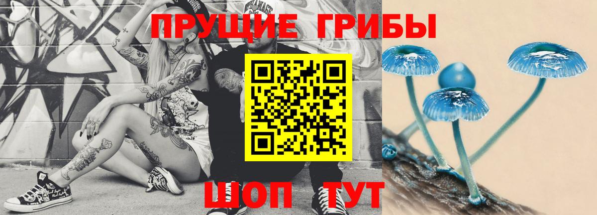 Ейск  Галлюциногенные грибы мицелий  Галлюциногенные грибы MAGIC MUSHROOMS  где продают наркотики  Вход с VPN 