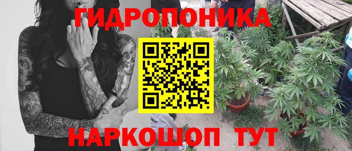 МАРИХУАНА Amnesia  Бошки марихуана Ganja  Вход с VPN  Ейск  Канабис индика 